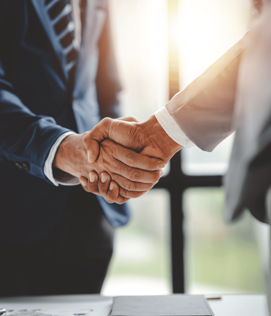 Executives shaking hands in sunlight